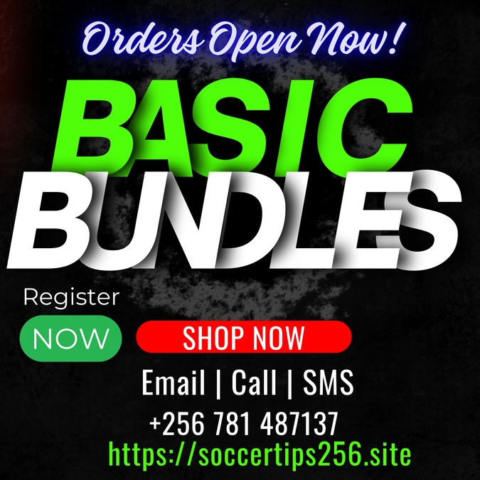 basic bundles